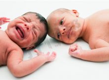 双胎科普||双胞胎宝宝在子宫内的发育过程图