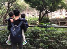 带着双胞胎去旅行|广州长隆野生动物园