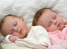 《双胞胎睡眠圣经》解读11：2--3岁双胞胎睡眠特点